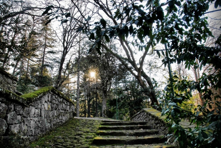 Bomarzo di zdenka