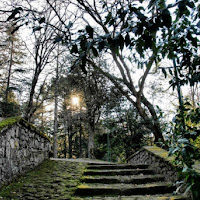 Bomarzo di 