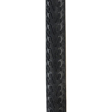 Panaracer Pasela Tire 27x1-1/8 Black/Tan Steel Bead