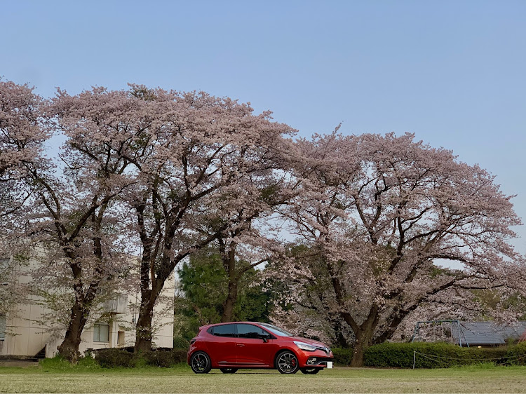 ルーテシアのルノー祭り・桜と愛車・繋がろうルーテシアオーナー・ルージュフラム・ドラレコ交換に関するカスタム事例の投稿画像7枚目