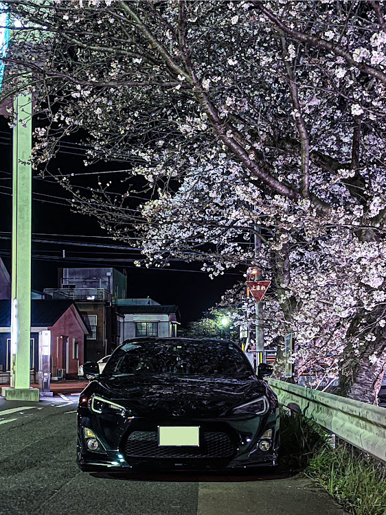 86のZN6・86BRZオーナーさんと繋がりたい・サクラと愛車・桜が散る前に・86styleに関するカスタム事例の投稿画像1枚目