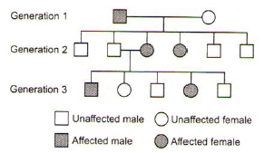 Pedigree Analysis