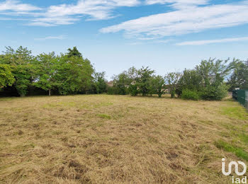 terrain à Lussac-les-Châteaux (86)