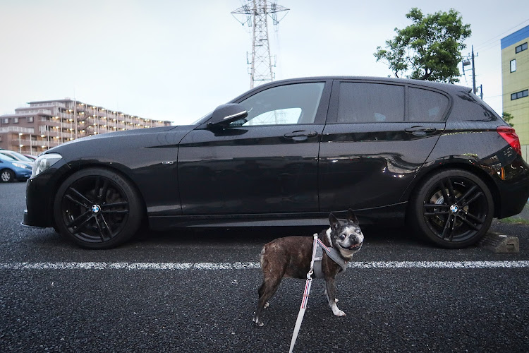 1シリーズ ハッチバックのsakuraboston さんが投稿したカスタム事例の投稿画像1枚目