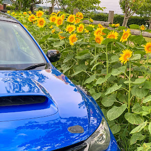 インプレッサ WRX STI GVB