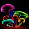 Cute Mushroom Wallpaper icon