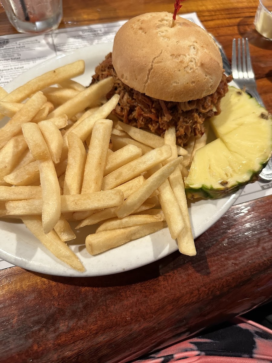 Pulled  pork on a GF bun. Fries cooked in a separate fryer. Both tasty.