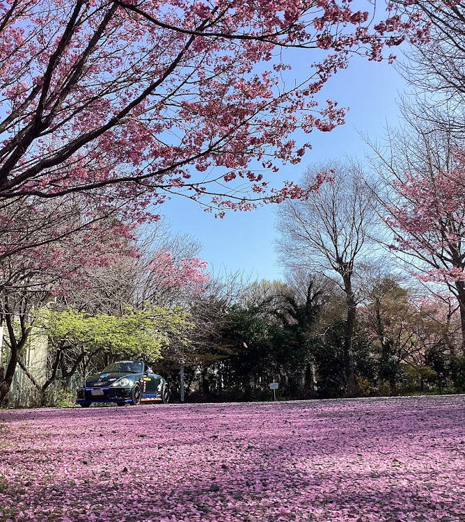 の投稿画像97枚目