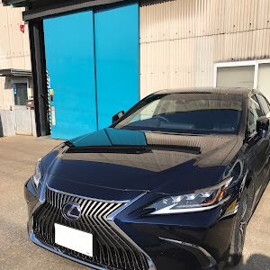 LS USF40