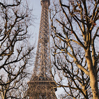 Ceci n'est pas un arbre. di 