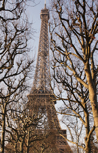 Ceci n'est pas un arbre. di darkskater