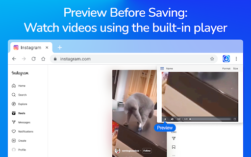 Video Downloader Pro