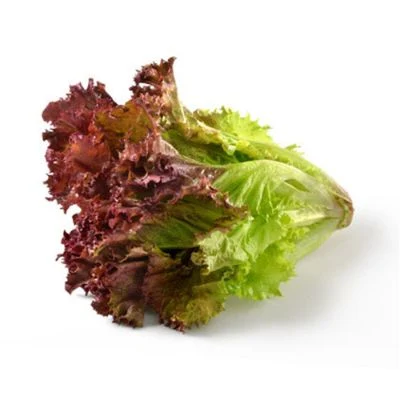 Gopalan Organic Lettuce Red Prepack About 200 Gm