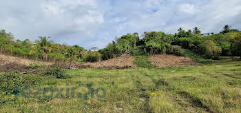 terrain à Le gosier (971)