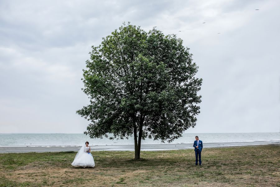 Bryllupsfotograf Aleksandr Shlyakhtin (alexandr161). Bilde av 5 oktober 2018