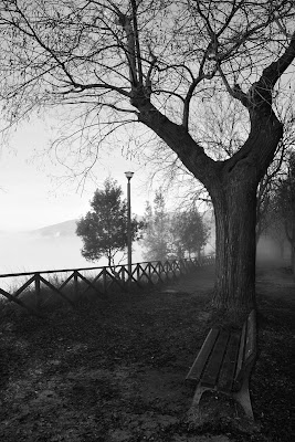 oltre la nebbia  di Paola Pulieri