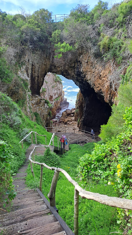 MAKING MEMORIES: From fynbos to views over the estuary from the Western side of Knysna, this Featherbed ecotour offers just the best experience.