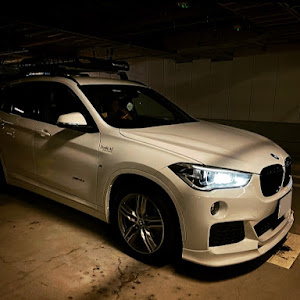 X1 xDrive 18d