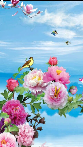 Bird and Flower Live Wallpaper