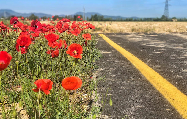 Strada  di Tonio-marinelli