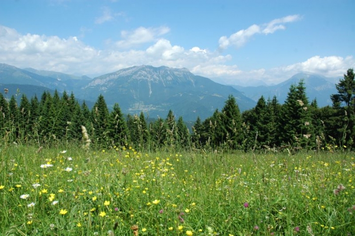 Paesaggio di montagna di black6