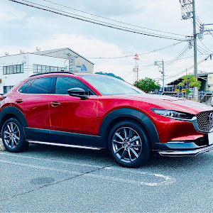 CX-30 DM8P