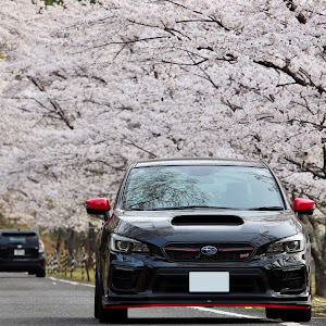WRX STI VAB
