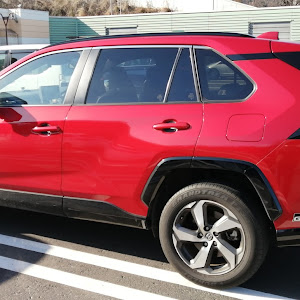 RAV4 AXAP54