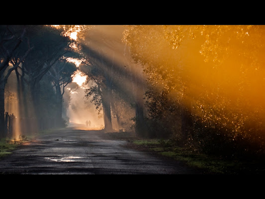 Passeggiata Mattutina di Davide Vitali