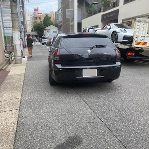 マグナム SXT