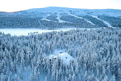 Chalet avec terrasse 1
