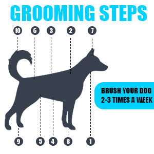 Title 2, Dog Brush Cat Brush Pet Grooming Tool Shedding ...