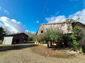 ferme à Marmande (47)