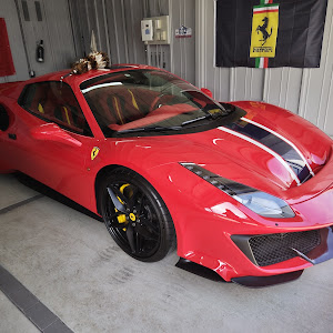 488ピスタスパイダー