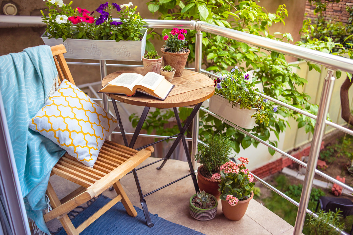 Kwiaty Na Balkon Zachodni Twojogrodek Pl