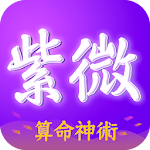 Cover Image of Download 紫微命盤-紫微斗數大師 婚姻算命 愛情配對 1.0.8 APK