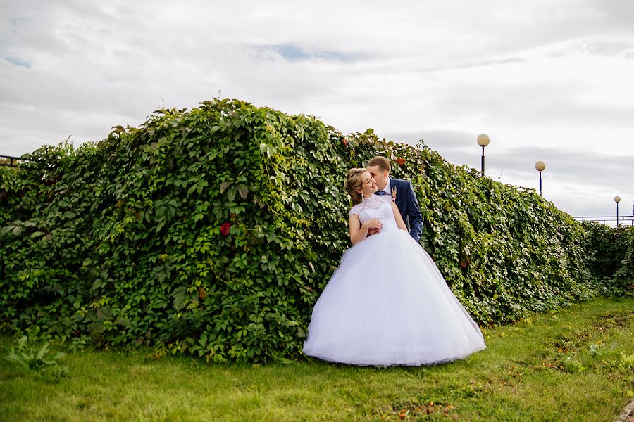 Hochzeitsfotograf Alena Kopylova (alenkova). Foto vom 4. Juni 2017