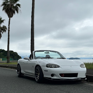 ロードスター NB8C