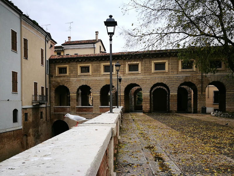 Solo ...un gabbiano di RobertoTelloni