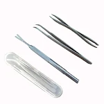 Set BCD Box