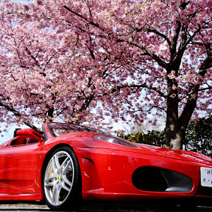 F430 スパイダー F430S