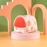 Pink strawberry