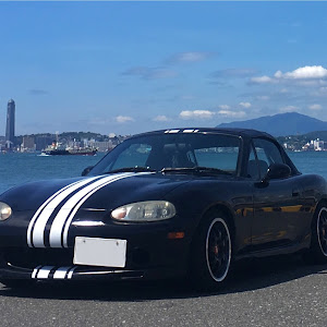 ロードスター NB8C