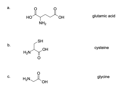 Solution Image