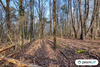 terrain à Chatillon-sur-cher (41)