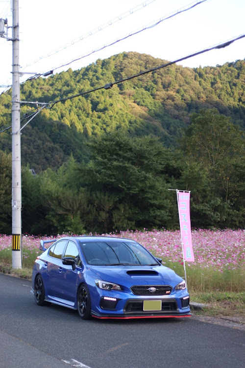 WRX STIの秋の気配・コスモス畑に関するカスタム事例の投稿画像2枚目