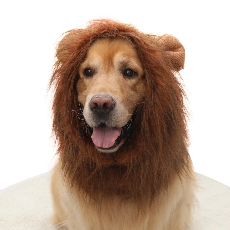 Title 3, Peruca para Cães e Chapéu de Leão para Cachorro...