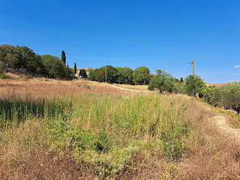 terrain à Sauzet (30)