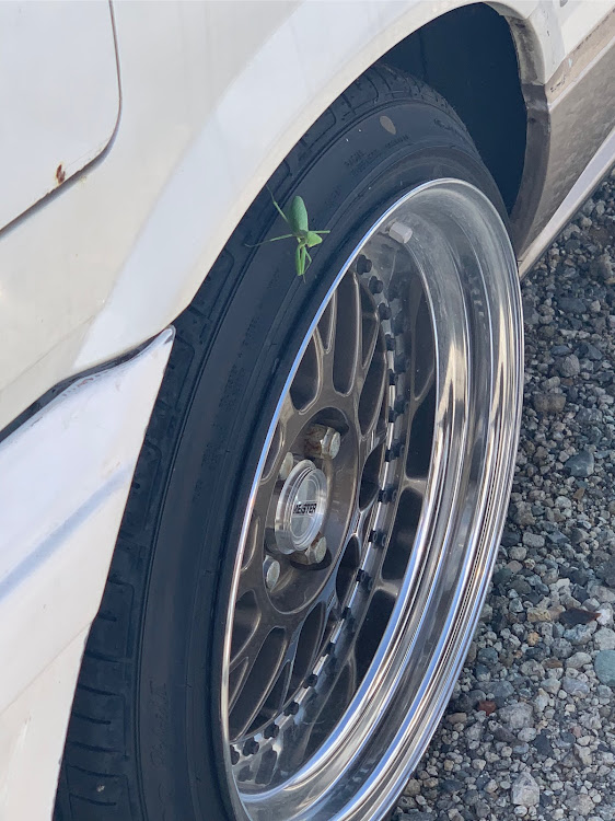 レパードの見た目10ソアラもどきのレパードアルティマ・レパードアルティマ・レストア中・#CARTUNEフォロバ企画・エアロ仮合わせ突入！！に関するカスタム事例の投稿画像1枚目