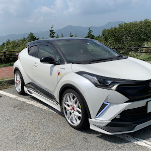 C-HR ZYX10